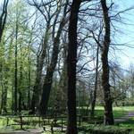 Am Schloss Burgkemnitz grenzt ein anmutiger Park mit mehreren Teichen