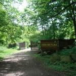 Unweit des Schlosses kann ein vom Heimat- und Naturverein angelegtes Arboretum  ein Garten mit verschiedenen Baum- und Straucharten  besichtigt werden.