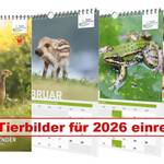 Jetzt Bilder einsenden