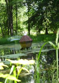 Schlosspark Rösa - Teich