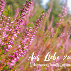 Aus Liebe zur Heide - World CleanUp Day